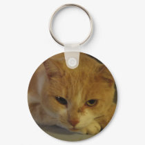 The kitty cat keychains