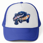 The Koi Tango hats
