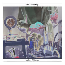 The Laboratory posters