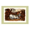The Lady and the Unicorn posters