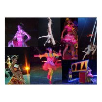 THE LADYS OF THE CIRCUS poster posters
