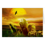 The Lake3 cards