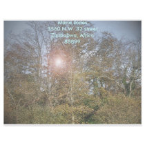 The Lake letterhead