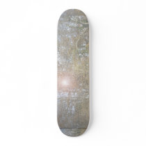 The Lake skateboards