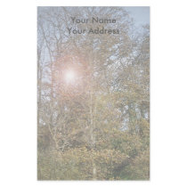 The Lake stationery