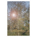 The Lake stationery