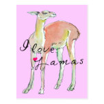 The Lama illustration postcards