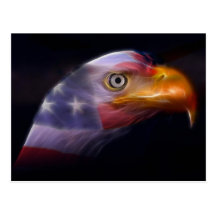 The Land of the Free, Home of the Brave Postcards