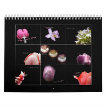 The Language of Flowers Calendar