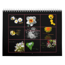 The Language of Flowers Calendar #2