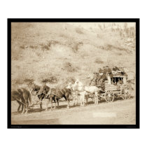 The Last Deadwood Coach SD 1890 posters