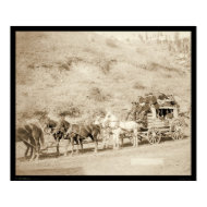 The Last Deadwood Coach SD 1890 print
