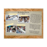 alaska, iditarod, race, dogs, history, winter,
