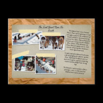 The Last Great Race On Earth Postcard