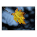 The Last Leaf cards