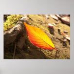 The Last Leaf Fall - Print