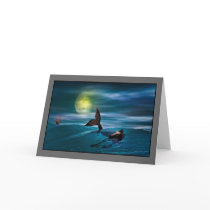 The Last Seahorse cards