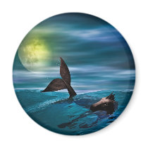 The Last Seahorse magnets by araven The Last Seahorse magnets