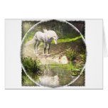 The Last Unicorn Card
