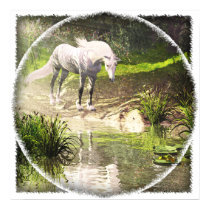 The Last Unicorn posters
