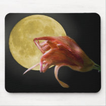 The Last Waltz mousepads
