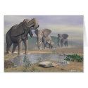 The Last Watering Hole cards