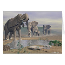 The Last Watering Hole cards by ckilmer The Last Watering Hole cards