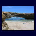 The Late Aruba Natural Bridge posters