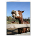 The Laughing Horse cards by dreamwhisper The Laughing Horse cards