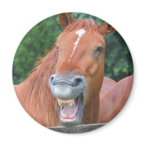 The Laughing Horse magnets by jdmphotography The Laughing Horse magnets