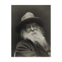 The Laughing Philosopher Poet Walt Whitman Post Cards