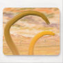 "The Lavaworms" Mousepad