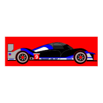 The Le Mans Winning Car 2009 posters