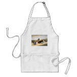 The Leap or Salta Tras Cuernos aprons