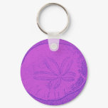The Legend of the Sanddollar