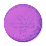 The Legend of the Sanddollar