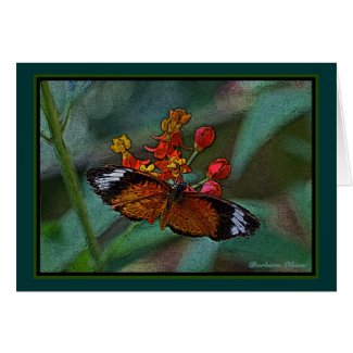 The Leopard Lacewing (Cethosia cyane) Butterfly Greeting Card