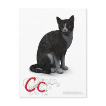 The Letter C postcards by poet480 The Letter C postcards