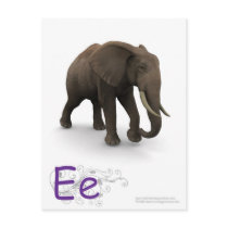 The Letter E postcards by poet480 The Letter E postcards
