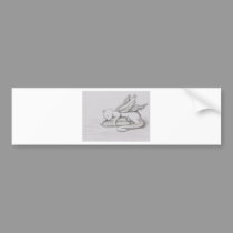 The Librarian bumper stickers