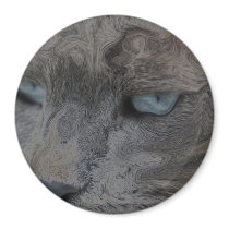 The Life OF The Cat Fridge Magnets