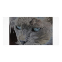 The Life OF The Cat Photo Card Template