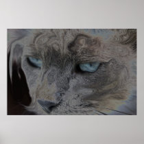 The Life OF The Cat Poster
