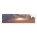 the light bumper stickers