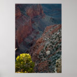 The Light in The Abyss 2582 Print