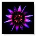 the light posters by jzombie the light posters