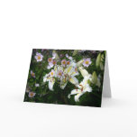 The Lilies and The Anemones cards