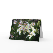 The Lilies and The Anenes Cards