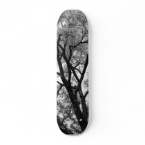 The Limbs of Nature...Skateboard