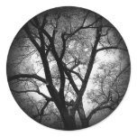 The Limbs of Nature Round Sticker